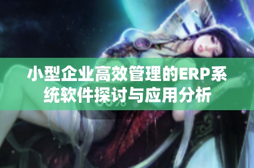 小型企业高效管理的ERP系统软件探讨与应用分析