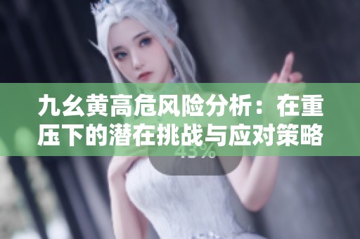 九幺黄高危风险分析：在重压下的潜在挑战与应对策略