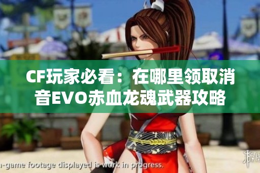 CF玩家必看：在哪里领取消音EVO赤血龙魂武器攻略
