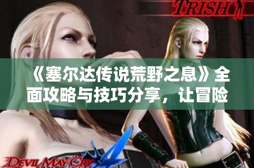 《塞尔达传说荒野之息》全面攻略与技巧分享，让冒险更加轻松