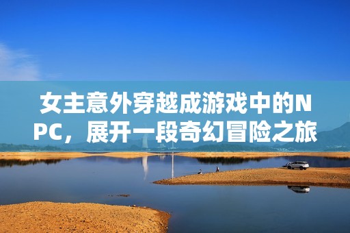女主意外穿越成游戏中的NPC，展开一段奇幻冒险之旅