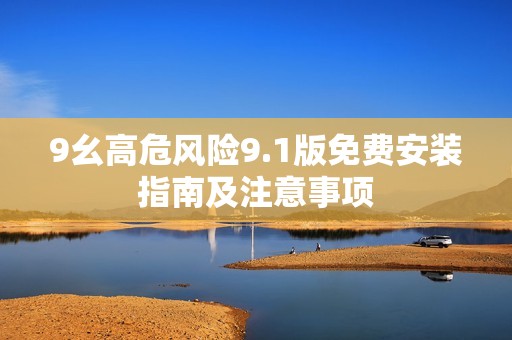 9幺高危风险9.1版免费安装指南及注意事项