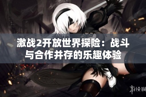 激战2开放世界探险：战斗与合作并存的乐趣体验