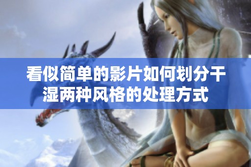 看似简单的影片如何划分干湿两种风格的处理方式