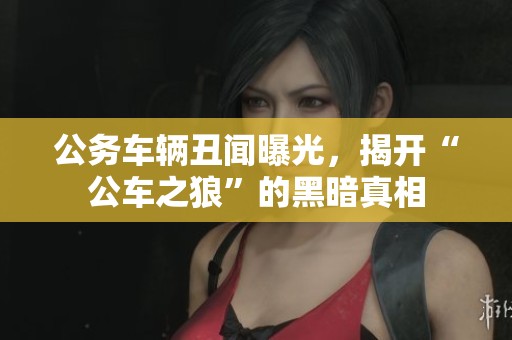 公务车辆丑闻曝光，揭开“公车之狼”的黑暗真相
