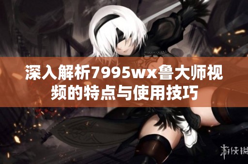 深入解析7995wx鲁大师视频的特点与使用技巧