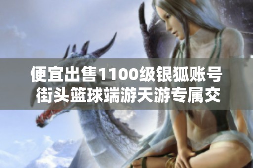便宜出售1100级银狐账号 街头篮球端游天游专属交易