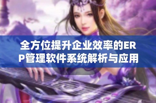 全方位提升企业效率的ERP管理软件系统解析与应用指南