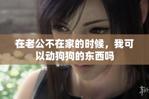 在老公不在家的时候，我可以动狗狗的东西吗