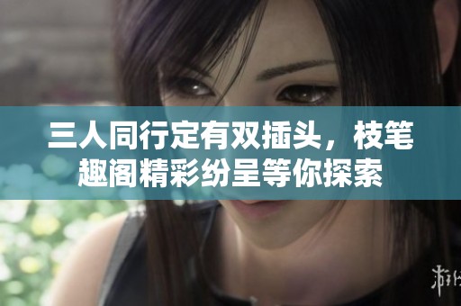 三人同行定有双插头，枝笔趣阁精彩纷呈等你探索