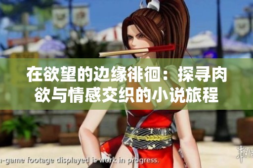 在欲望的边缘徘徊：探寻肉欲与情感交织的小说旅程
