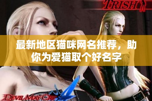 最新地区猫咪网名推荐，助你为爱猫取个好名字