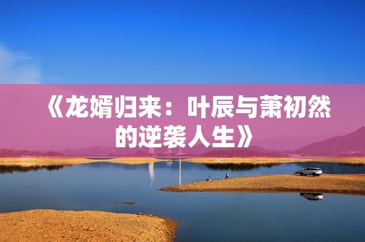 《龙婿归来：叶辰与萧初然的逆袭人生》