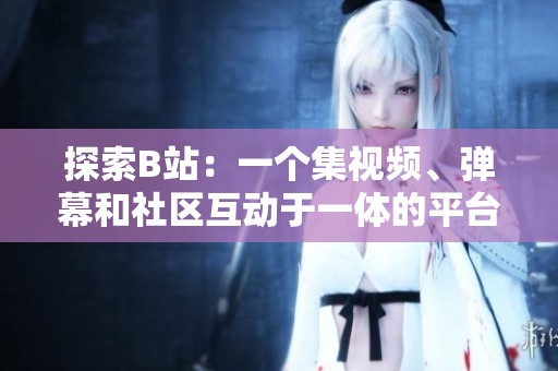 探索B站：一个集视频、弹幕和社区互动于一体的平台解析