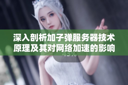 深入剖析加子弹服务器技术原理及其对网络加速的影响