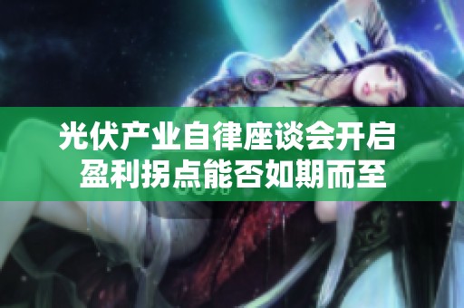 光伏产业自律座谈会开启 盈利拐点能否如期而至