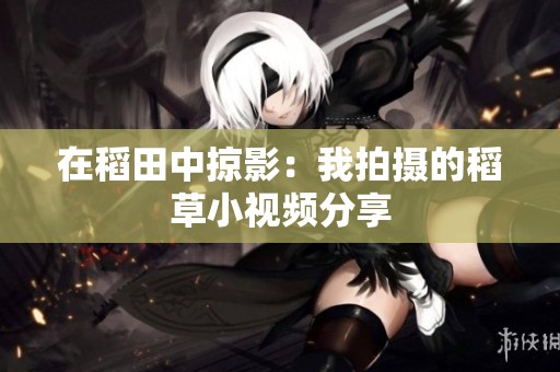 在稻田中掠影：我拍摄的稻草小视频分享
