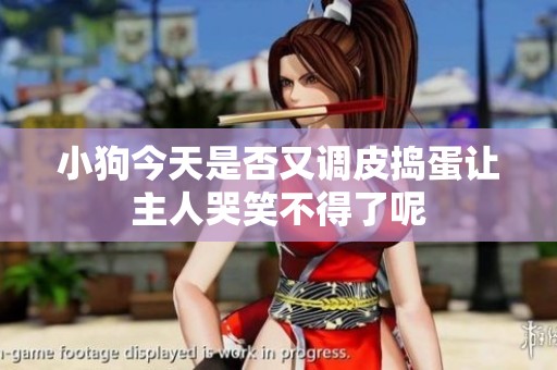 小狗今天是否又调皮捣蛋让主人哭笑不得了呢