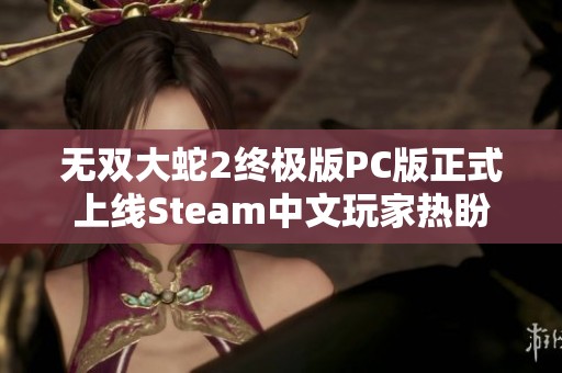 无双大蛇2终极版PC版正式上线Steam中文玩家热盼