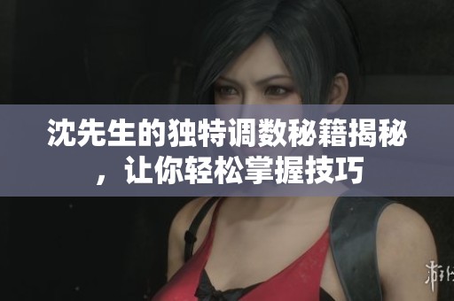 沈先生的独特调数秘籍揭秘，让你轻松掌握技巧