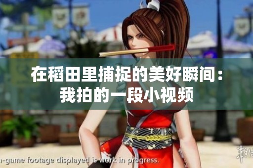 在稻田里捕捉的美好瞬间：我拍的一段小视频