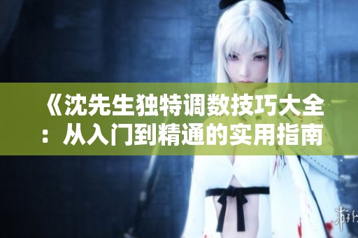 《沈先生独特调数技巧大全：从入门到精通的实用指南》