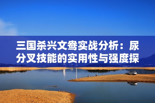 三国杀兴文鸯实战分析：尿分叉技能的实用性与强度探讨