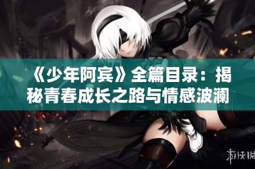 《少年阿宾》全篇目录：揭秘青春成长之路与情感波澜