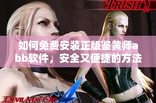 如何免费安装正版鉴黄师abb软件，安全又便捷的方法分享