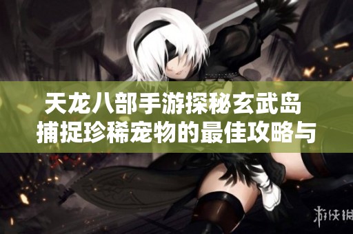 天龙八部手游探秘玄武岛 捕捉珍稀宠物的最佳攻略与技巧