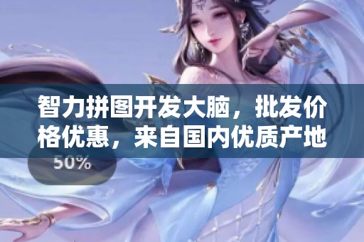 智力拼图开发大脑，批发价格优惠，来自国内优质产地
