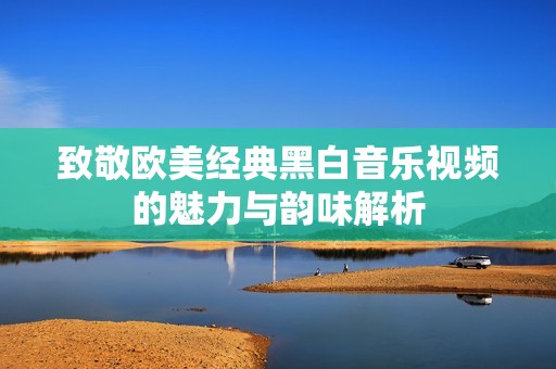 致敬欧美经典黑白音乐视频的魅力与韵味解析
