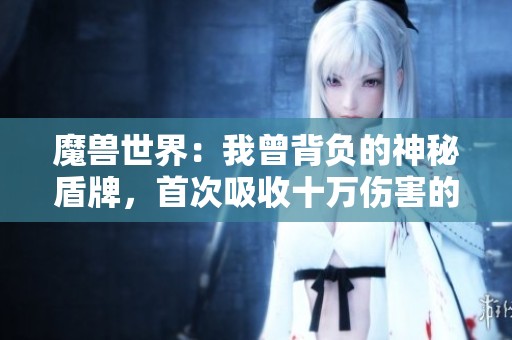 魔兽世界：我曾背负的神秘盾牌，首次吸收十万伤害的传奇经历