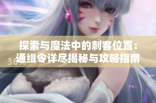 探索与魔法中的刺客位置：通缉令详尽揭秘与攻略指南