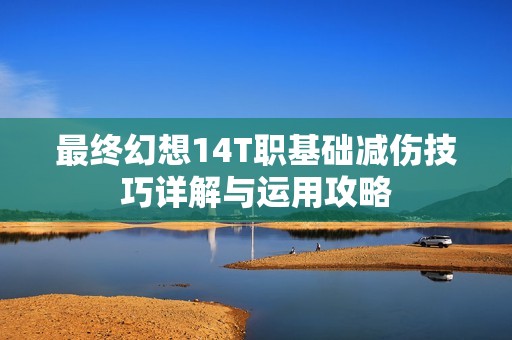 最终幻想14T职基础减伤技巧详解与运用攻略