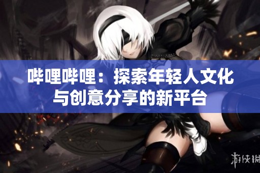 哔哩哔哩：探索年轻人文化与创意分享的新平台
