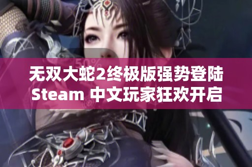无双大蛇2终极版强势登陆Steam 中文玩家狂欢开启新篇章