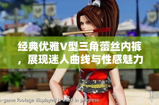 经典优雅V型三角蕾丝内裤，展现迷人曲线与性感魅力