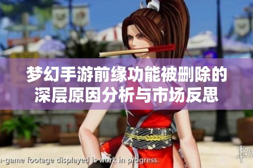 梦幻手游前缘功能被删除的深层原因分析与市场反思