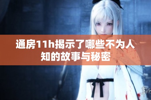 通房11h揭示了哪些不为人知的故事与秘密