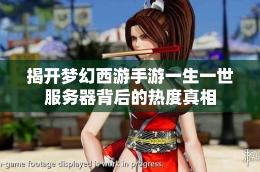 揭开梦幻西游手游一生一世服务器背后的热度真相