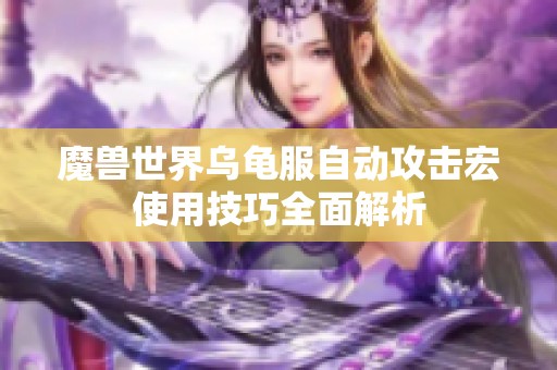 魔兽世界乌龟服自动攻击宏使用技巧全面解析