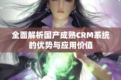 全面解析国产成熟CRM系统的优势与应用价值