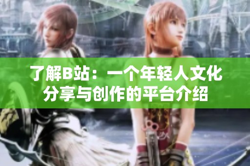 了解B站：一个年轻人文化分享与创作的平台介绍