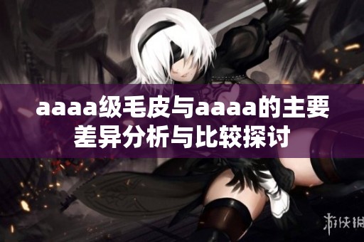 aaaa级毛皮与aaaa的主要差异分析与比较探讨