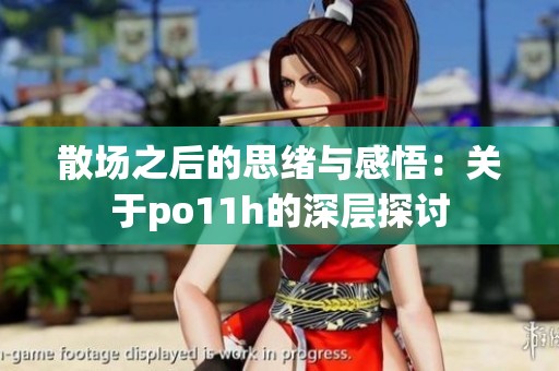 散场之后的思绪与感悟：关于po11h的深层探讨