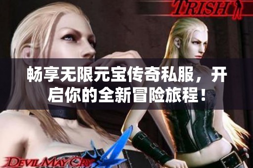 畅享无限元宝传奇私服，开启你的全新冒险旅程！