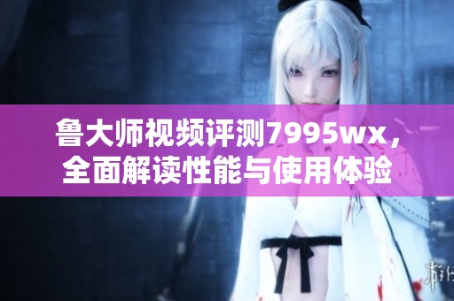 鲁大师视频评测7995wx，全面解读性能与使用体验
