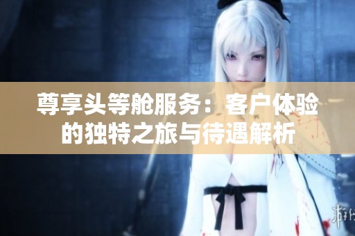 尊享头等舱服务：客户体验的独特之旅与待遇解析