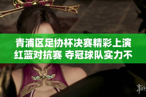 青浦区足协杯决赛精彩上演红蓝对抗赛 夺冠球队实力不容小觑